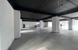 Spatiu comercial, 282 mp, bloc nou, zona Coneliu Coposu