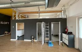 Spatiu comercial, open space, 5 parcari, 350mp, zona strazii Traian Vuia