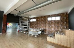 Spatiu comercial, open space, 5 parcari, 350mp, zona strazii Traian Vuia