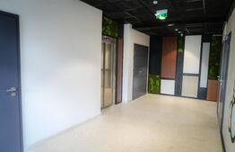 Birou ultramodern, 211 mp, prima inchiriere, zona Traian Vuia