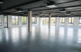 Birou ultramodern, 211 mp, prima inchiriere, zona Traian Vuia
