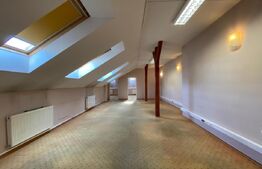 Cladire istorica Ultracentrala, 600 mp, ideal clinica sau sediu de firma