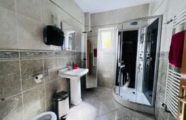 Vila amenajata, 250 mp, curte de 450 mp, zona Gradinii Botanice