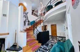 Vila amenajata, 250 mp, curte de 450 mp, zona Gradinii Botanice