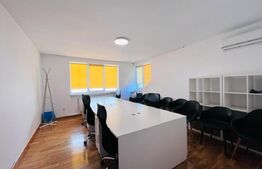 Vila amenajata, 250 mp, curte de 450 mp, zona Gradinii Botanice