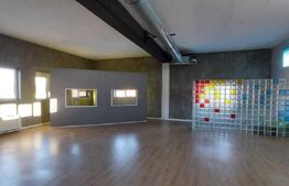 Spatiu de birouri, open space, 350mp, zona strazii Traian Vuia