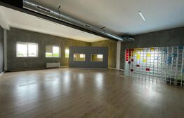 Spatiu de birouri, open space, 350mp, zona strazii Traian Vuia