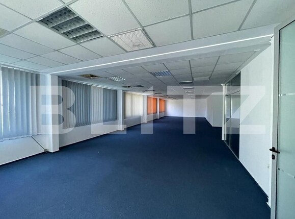 Spațiu birouri de închiriat Grigorescu - 145085SIB | BLITZ Cluj-Napoca | Poza1