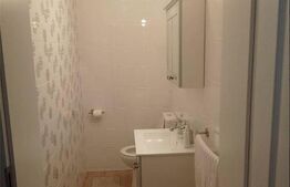 Spatiu comercial, 76 mp, finisat modern, zona Europa