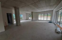 Spatiu comercial, 166 mp, vitrina la strada, imobil nou, zona Europa