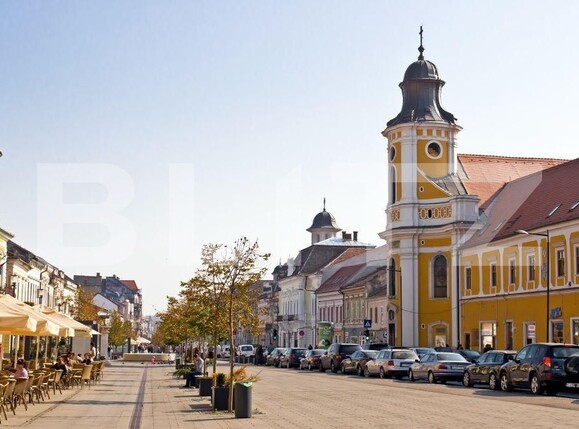 Apartament de vânzare 2 camere Central - 145117AV | BLITZ Cluj-Napoca | Poza1