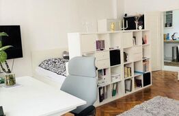 Studio modern, 60 mp, zona Ultracentrala