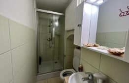 Apartament ultracentral, 45 mp , pivnita 30 mp, zona Eroilor