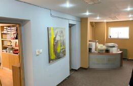 Apartament in casa, 96 mp, P+M, zona Piata Muzeului!