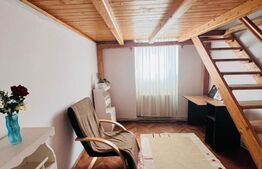 Oportunitate ! Apartament de 4 camere , Tavan inalt, Zona Parcului Central