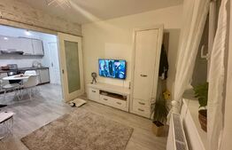 Apartament de 2 camere, 40mp, Omnia Residence 