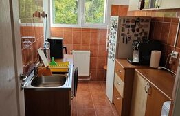 Apartament 2 camere, piata Astra