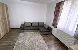 Casa compusa din 2 corpuri: 160mp utili si 1065 mp teren; Dambu Rotund!