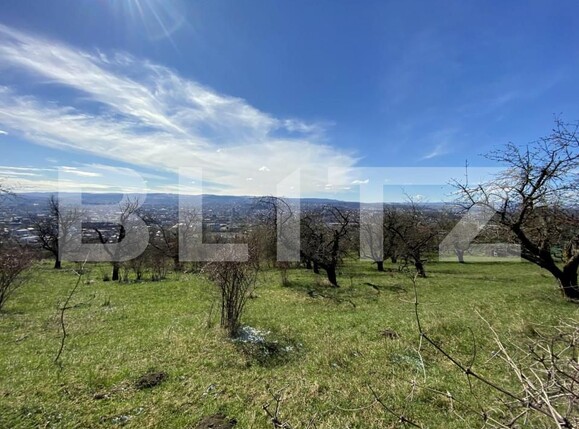 Teren de vânzare Dambul Rotund - 145315TV | BLITZ Cluj-Napoca | Poza2