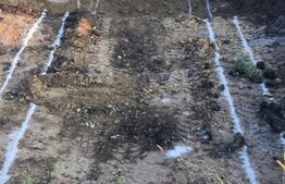 Teren intravilan, 625 mp cu autorizatie de constructie casa individuala, Sopor