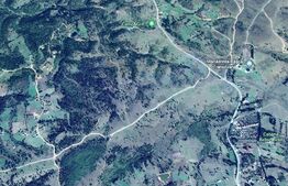 Teren extravilan, 10.000 mp, Belis - Calatele