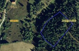 Teren extravilan, 10.000 mp, Belis - Calatele