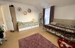 Casa compusa din 2 corpuri, 6 camere, 500 mp teren, Chinteni