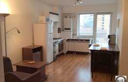 2 camere, 43 mp, imobil nou, totul nou, prima inchiriere, Studium Green Campus