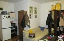 1 camera, 33 mp, partial mobilat, A.C, zona strazii Taietura Turcului!