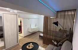 Apartament, 1 camera, 45mp,  zona Ultracentrala