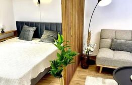 Apartament, 1 camera, 45mp,  zona Ultracentrala