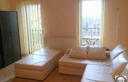 1 camera, 40 mp, imobil nou, mobilat modern, zona strazii Alverna