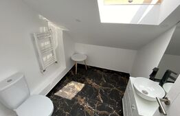 Casa ultrafinisata, 5 camere, 290 mp teren Dambu Rotund