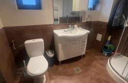 Duplex 4 camere, 153 mp , 234 teren, garaj, zona Florilor 