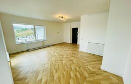 Apartament 3 camere, 66mp, finisat, pod extra, zona Teilor