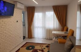 Garsoniera moderna, 22MP, ideala pentru investitie, zona Oasului 