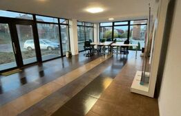  Spatiu comercial, 65 mp, ideal pentru magazine, saloane, cabinete, Dambul Rotund