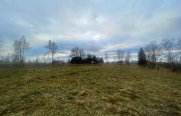 Exclusivitate! Casa 5 camere, terenuri 9800 mp si 8200 mp - padure, Risca