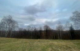 Exclusivitate! Casa 5 camere, terenuri 9800 mp si 8200 mp - padure, Risca