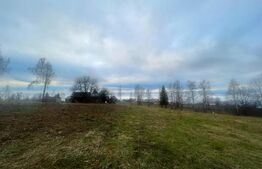 Exclusivitate! Casa 5 camere, terenuri 9800 mp si 8200 mp - padure, Risca