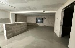 Exclusivitate! Casa 5 camere, terenuri 9800 mp si 8200 mp - padure, Risca