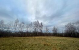 Exclusivitate! Casa 5 camere, terenuri 9800 mp si 8200 mp - padure, Risca