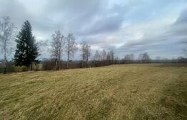 Exclusivitate! Casa 5 camere, terenuri 9800 mp si 8200 mp - padure, Risca