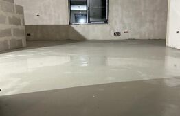 Exclusivitate! Casa 5 camere, terenuri 9800 mp si 8200 mp - padure, Risca