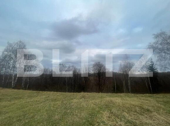 Casa de vânzare 5 camere Exterior Vest - 146552CV | BLITZ Cluj-Napoca | Poza9