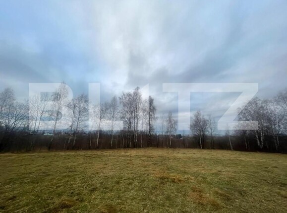 Casa de vânzare 5 camere Exterior Vest - 146552CV | BLITZ Cluj-Napoca | Poza13