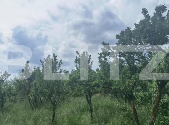 Casa de vânzare 3 camere Exterior Est - 146556CV | BLITZ Cluj-Napoca | Poza8