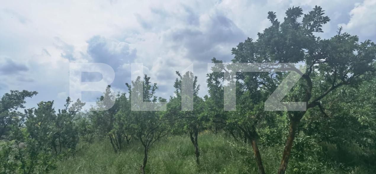 Casa de vânzare 3 camere Exterior Est - 146556CV | BLITZ Cluj-Napoca | Poza8