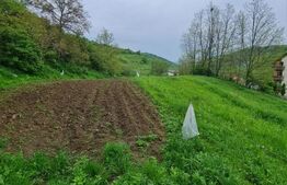 Teren intravilan pentru constructie de case sau duplexuri, 2700 mp, sat Tauti