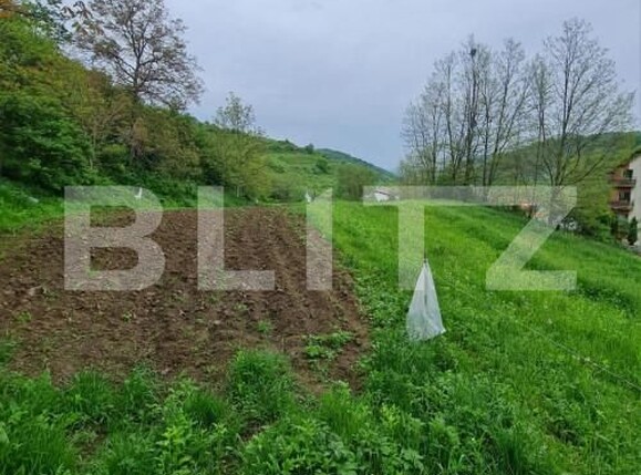 Teren de vânzare Floreşti - 146560TV | BLITZ Cluj-Napoca | Poza1
